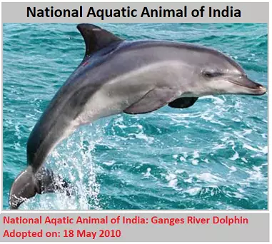 National Aquatic Animal of India: Ganges River Dolphin